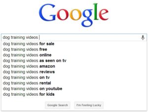 Sample Search with Google Suggestions for Keyword Research