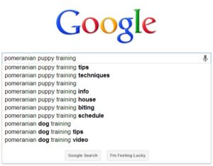 Sample Google Suggestions for Keyword Research