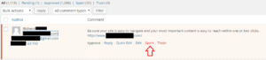 spam blog comment
